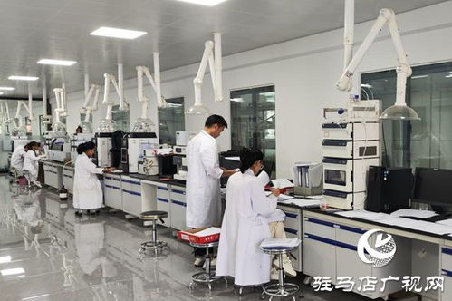 上蔡县 搭建电商平台 让特色农产品走出家乡