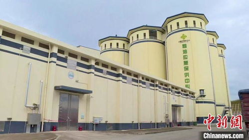 大湾区绿色农产品生产供应基地累计实现产值近50亿元