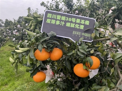 滞销变爆款 希柔助力农产品走出疫情困境