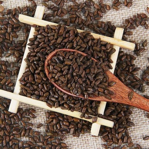 决明子茶炒熟决明子正品决明子罐装胎菊枸杞玫瑰花荷叶蒲公英组合