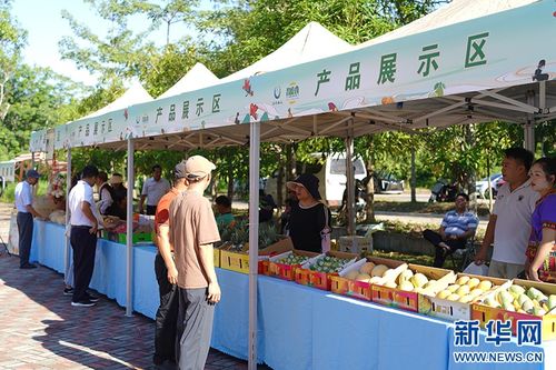 昌江发布当地农产品公用品牌 昌廪食