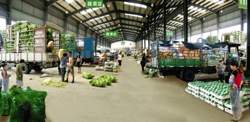 卧虎藏龙的批发菜市场 有人3月赚百万 20年买10套房