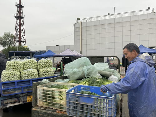 北京新发地市场助力商户打造农产品品牌