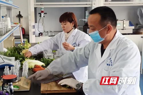 泸溪 加大元旦节前农产品质量安全监测力度