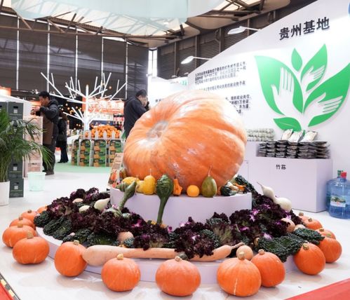 2019第6届上海国际现代农业品牌暨特色优质农产品贸易博览会